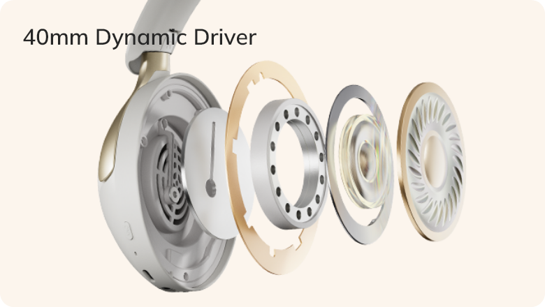 40mm Dynamic Driver Exploded View Headphone Internal Components